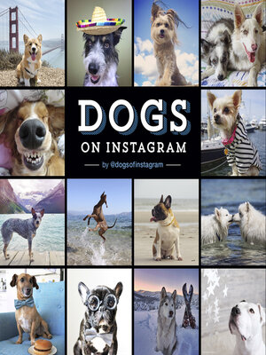 cover image of Dogs on Instagram
